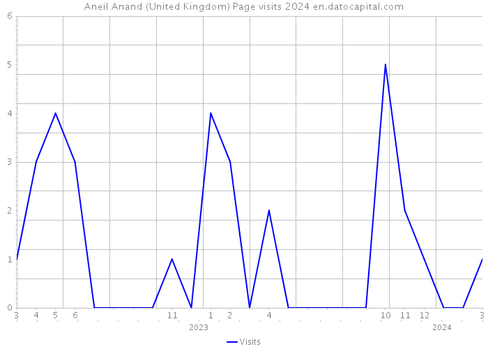 Aneil Anand (United Kingdom) Page visits 2024 