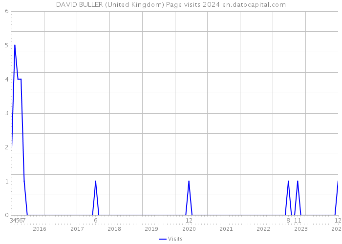 DAVID BULLER (United Kingdom) Page visits 2024 
