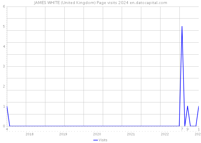 JAMES WHITE (United Kingdom) Page visits 2024 
