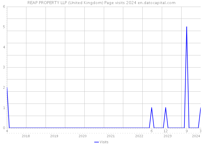 REAP PROPERTY LLP (United Kingdom) Page visits 2024 
