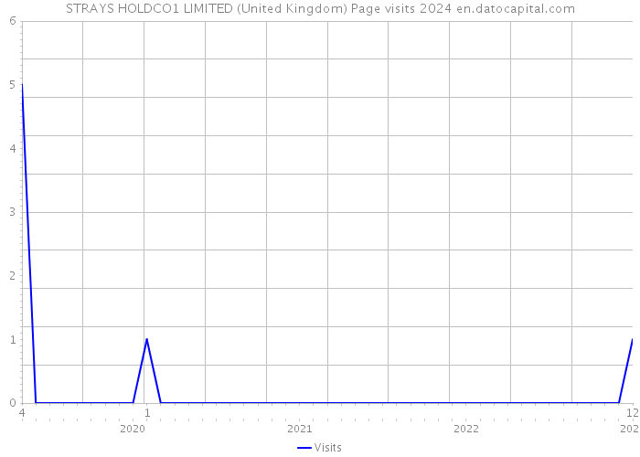 STRAYS HOLDCO1 LIMITED (United Kingdom) Page visits 2024 
