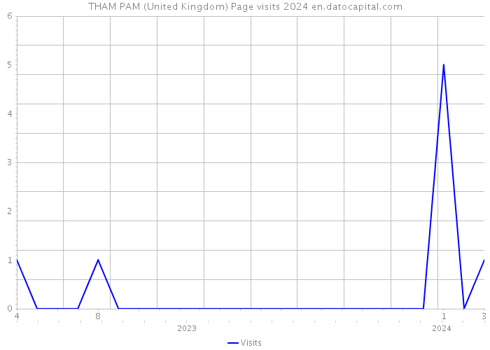 THAM PAM (United Kingdom) Page visits 2024 