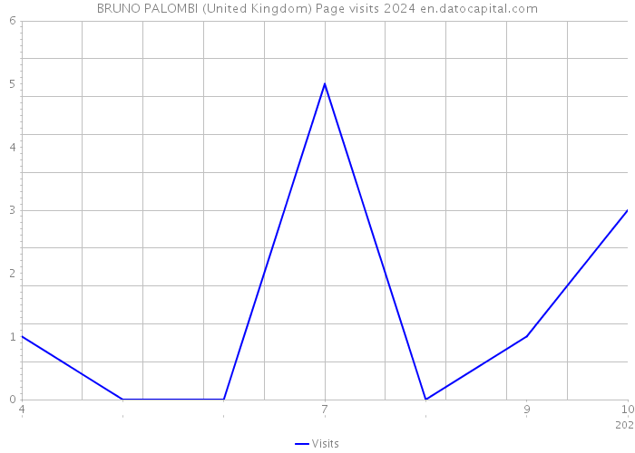 BRUNO PALOMBI (United Kingdom) Page visits 2024 