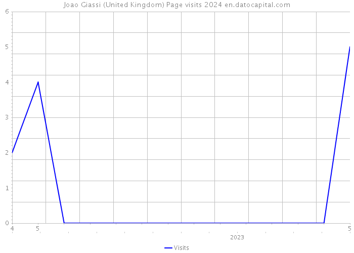 Joao Giassi (United Kingdom) Page visits 2024 