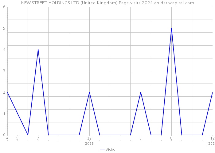 NEW STREET HOLDINGS LTD (United Kingdom) Page visits 2024 