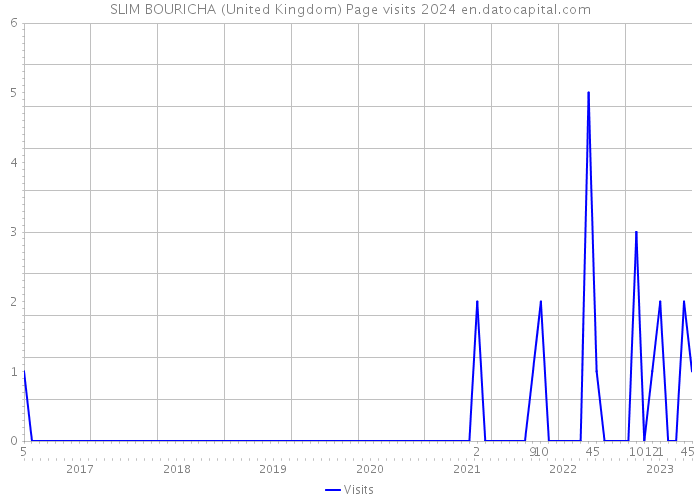 SLIM BOURICHA (United Kingdom) Page visits 2024 