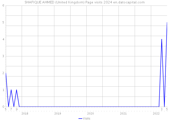 SHAFIQUE AHMED (United Kingdom) Page visits 2024 