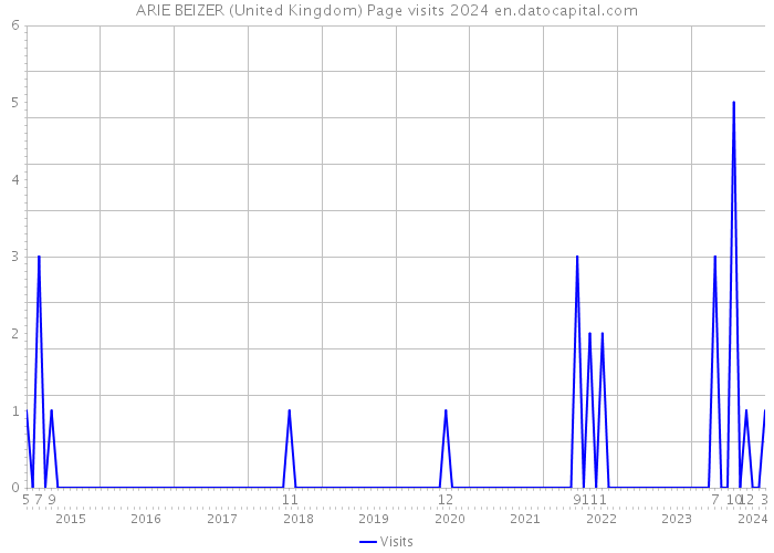ARIE BEIZER (United Kingdom) Page visits 2024 