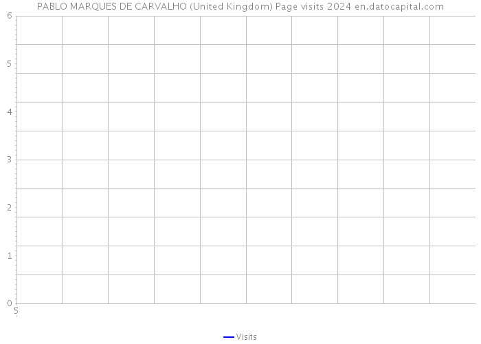 PABLO MARQUES DE CARVALHO (United Kingdom) Page visits 2024 