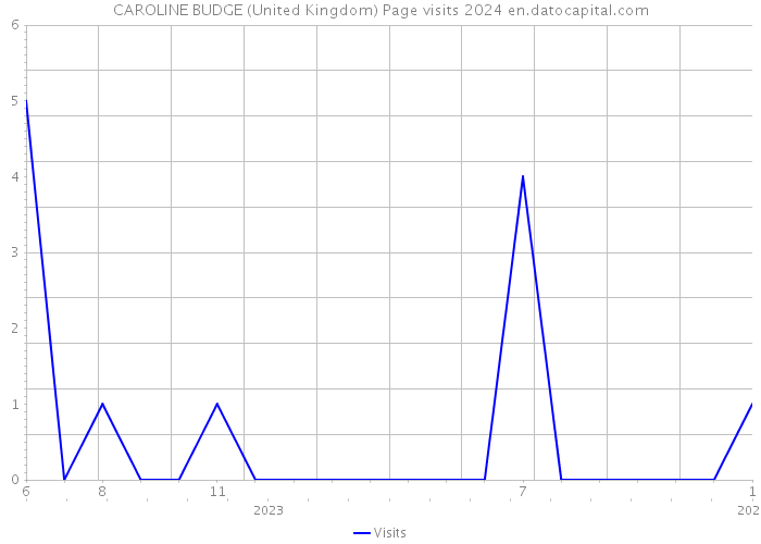 CAROLINE BUDGE (United Kingdom) Page visits 2024 