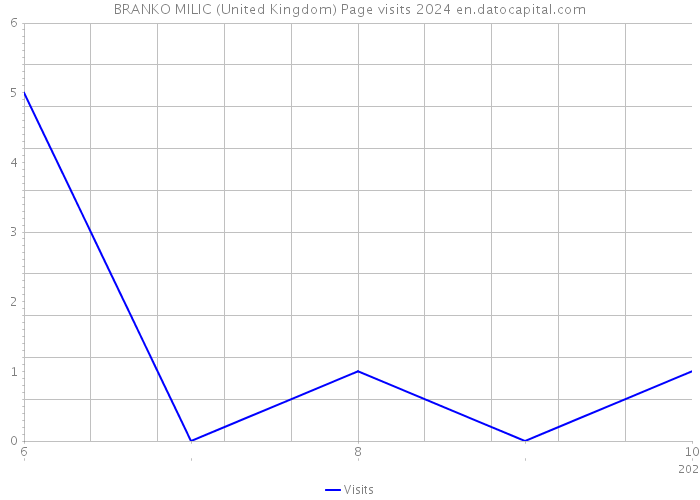 BRANKO MILIC (United Kingdom) Page visits 2024 