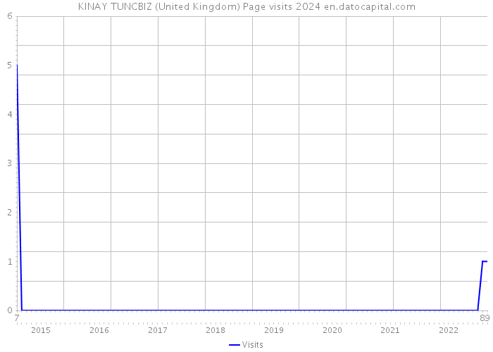 KINAY TUNCBIZ (United Kingdom) Page visits 2024 
