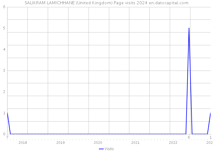 SALIKRAM LAMICHHANE (United Kingdom) Page visits 2024 
