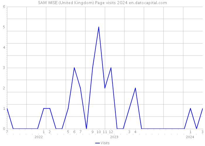 SAM WISE (United Kingdom) Page visits 2024 