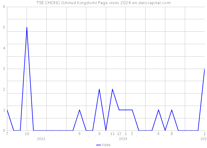 TSE CHONG (United Kingdom) Page visits 2024 