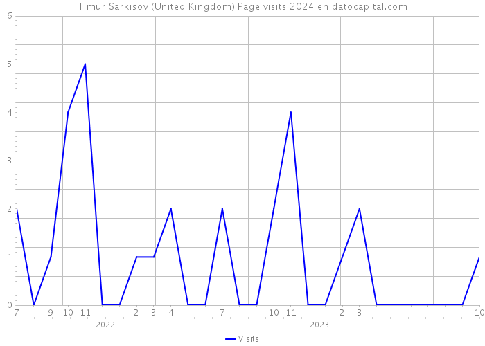 Timur Sarkisov (United Kingdom) Page visits 2024 