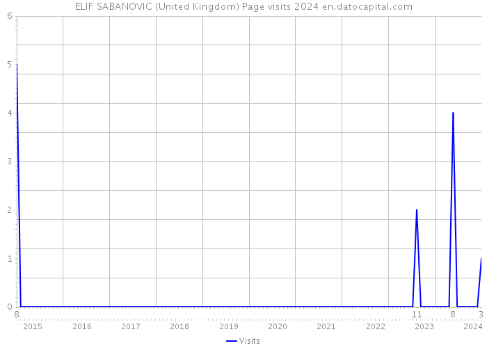 ELIF SABANOVIC (United Kingdom) Page visits 2024 