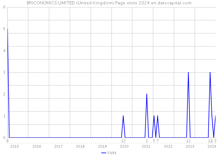 BRICONOMICS LIMITED (United Kingdom) Page visits 2024 
