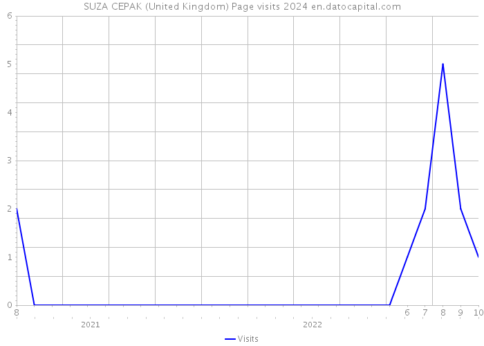 SUZA CEPAK (United Kingdom) Page visits 2024 