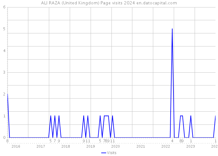 ALI RAZA (United Kingdom) Page visits 2024 