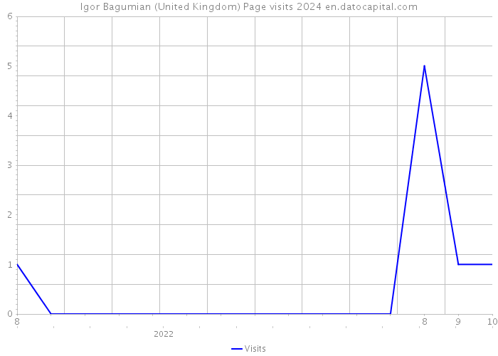 Igor Bagumian (United Kingdom) Page visits 2024 