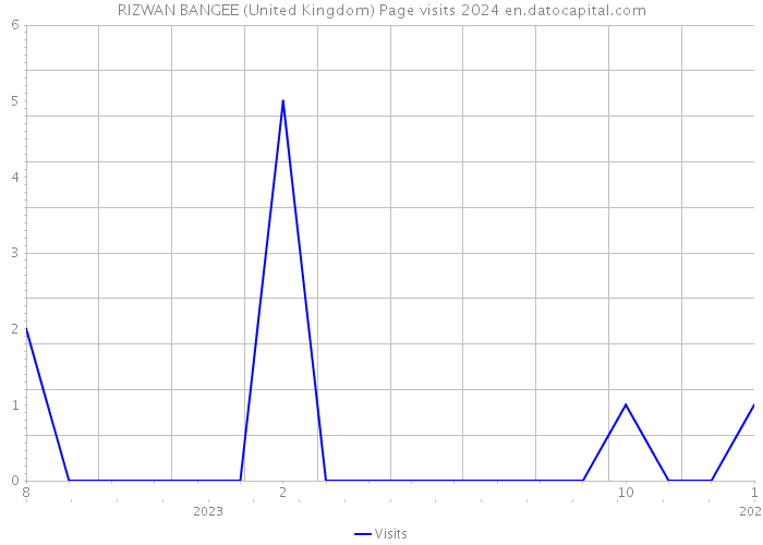 RIZWAN BANGEE (United Kingdom) Page visits 2024 
