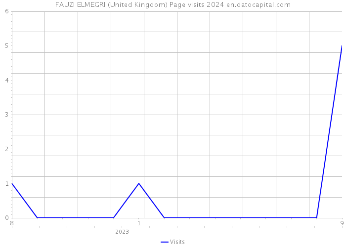 FAUZI ELMEGRI (United Kingdom) Page visits 2024 