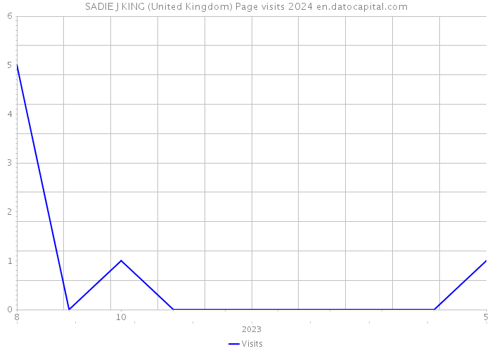 SADIE J KING (United Kingdom) Page visits 2024 