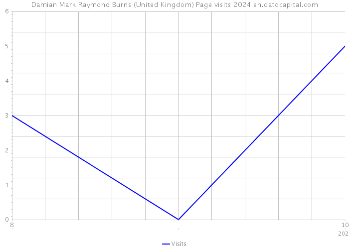 Damian Mark Raymond Burns (United Kingdom) Page visits 2024 