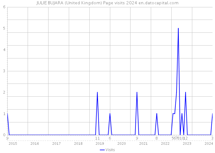 JULIE BUJARA (United Kingdom) Page visits 2024 