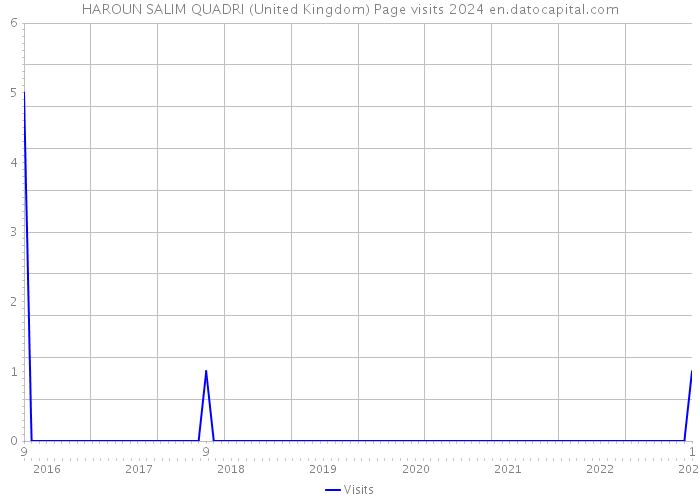 HAROUN SALIM QUADRI (United Kingdom) Page visits 2024 