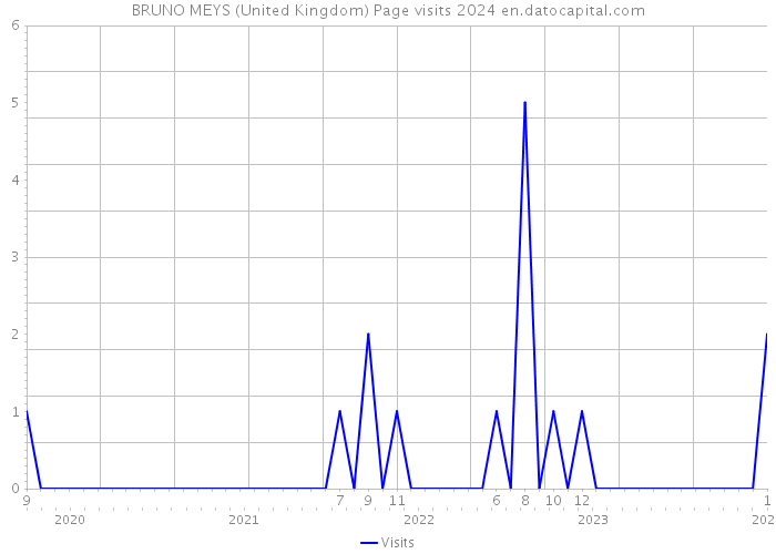 BRUNO MEYS (United Kingdom) Page visits 2024 