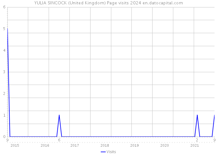 YULIA SINCOCK (United Kingdom) Page visits 2024 