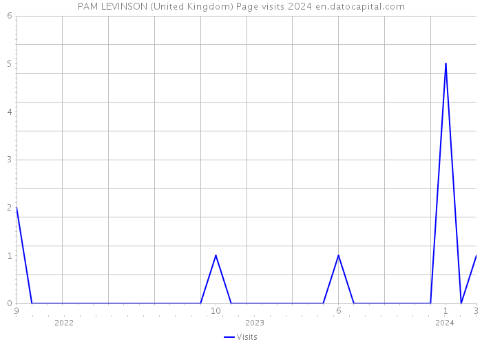 PAM LEVINSON (United Kingdom) Page visits 2024 