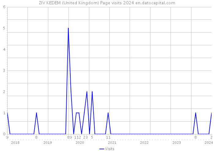 ZIV KEDEM (United Kingdom) Page visits 2024 