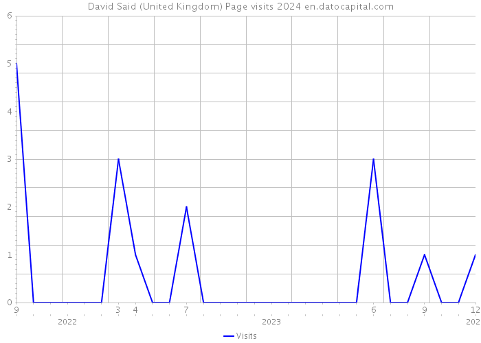 David Said (United Kingdom) Page visits 2024 