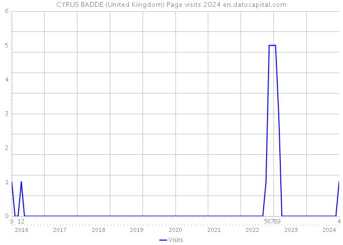 CYRUS BADDE (United Kingdom) Page visits 2024 
