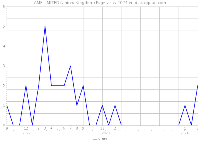 AMB LIMITED (United Kingdom) Page visits 2024 