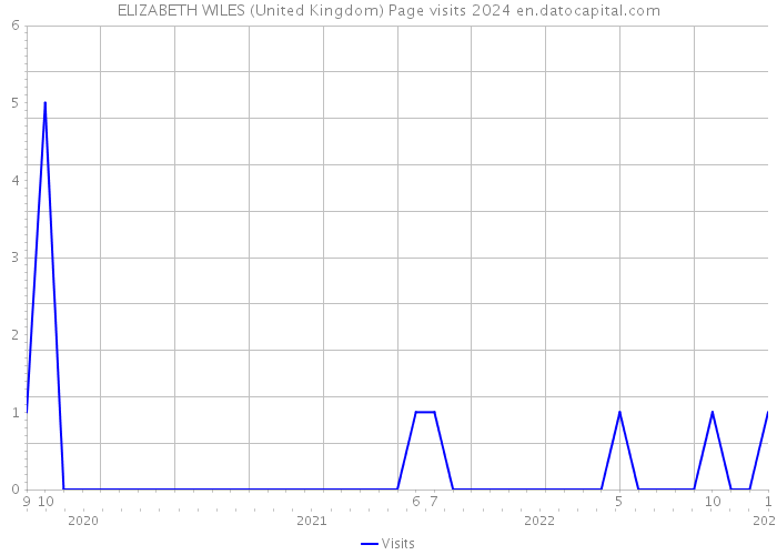 ELIZABETH WILES (United Kingdom) Page visits 2024 