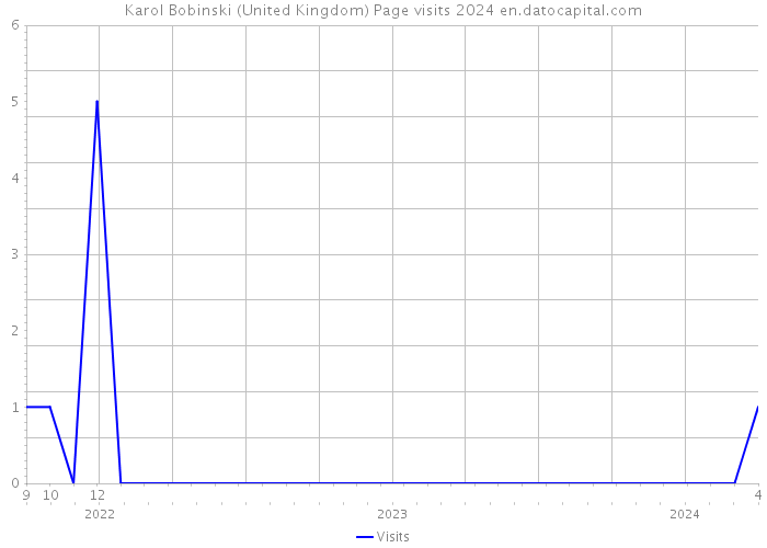 Karol Bobinski (United Kingdom) Page visits 2024 