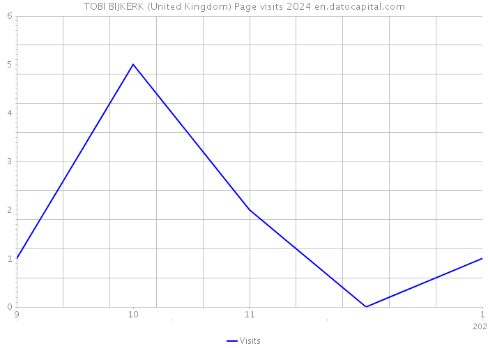 TOBI BIJKERK (United Kingdom) Page visits 2024 
