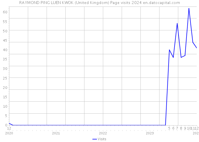 RAYMOND PING LUEN KWOK (United Kingdom) Page visits 2024 