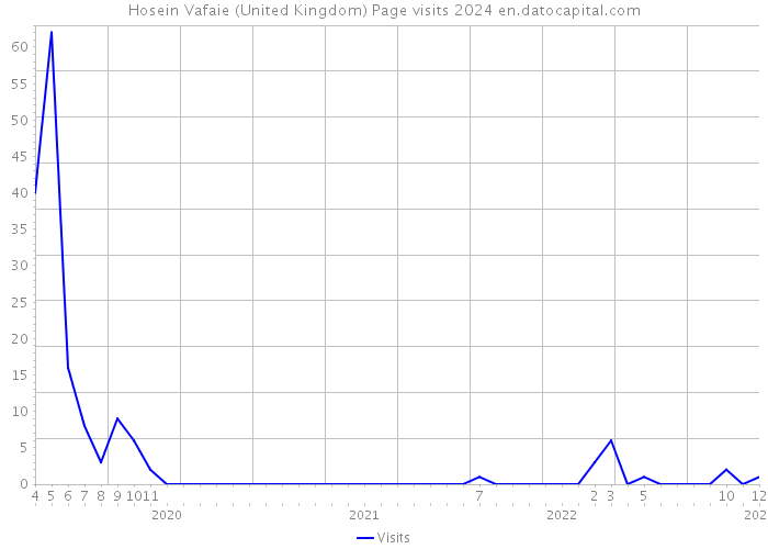 Hosein Vafaie (United Kingdom) Page visits 2024 