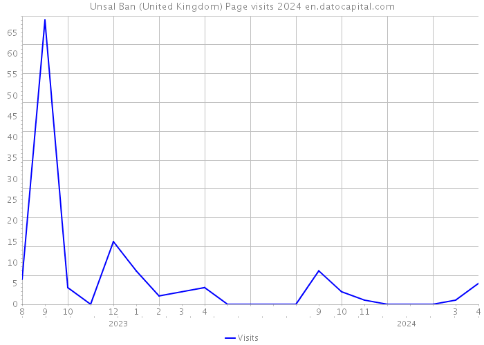 Unsal Ban (United Kingdom) Page visits 2024 