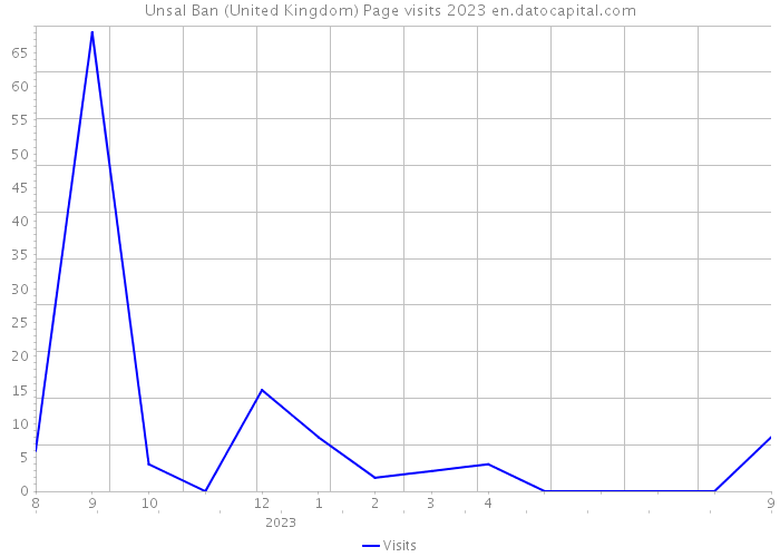 Unsal Ban (United Kingdom) Page visits 2023 