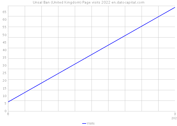 Unsal Ban (United Kingdom) Page visits 2022 