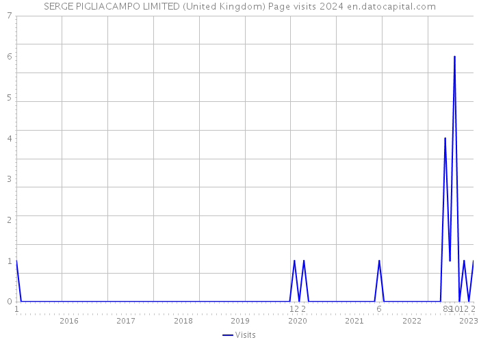 SERGE PIGLIACAMPO LIMITED (United Kingdom) Page visits 2024 