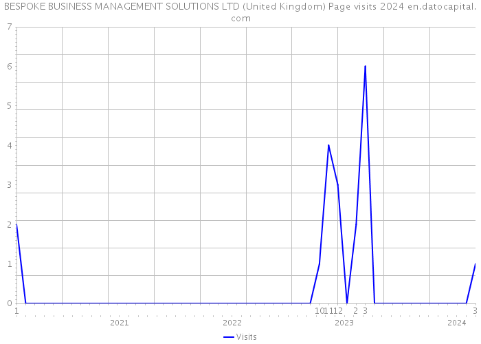 BESPOKE BUSINESS MANAGEMENT SOLUTIONS LTD (United Kingdom) Page visits 2024 