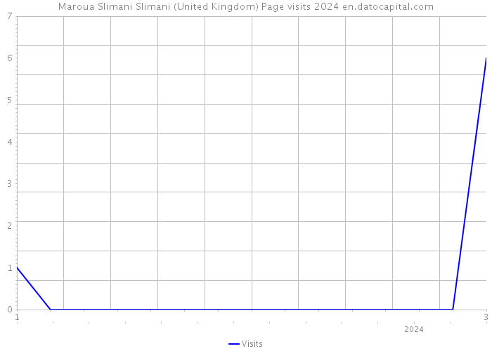 Maroua Slimani Slimani (United Kingdom) Page visits 2024 