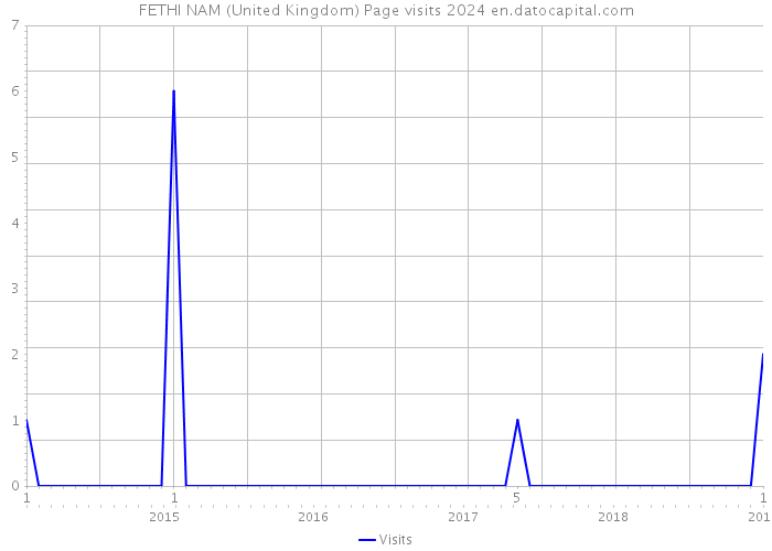 FETHI NAM (United Kingdom) Page visits 2024 